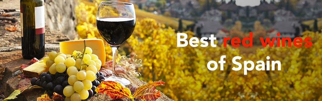 Best red wines of Spain