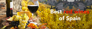 Best red wines of Spain