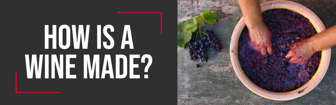 Hands crushing red grapes in a wide tub next to a bunch of grapes, with the title How is a wine made