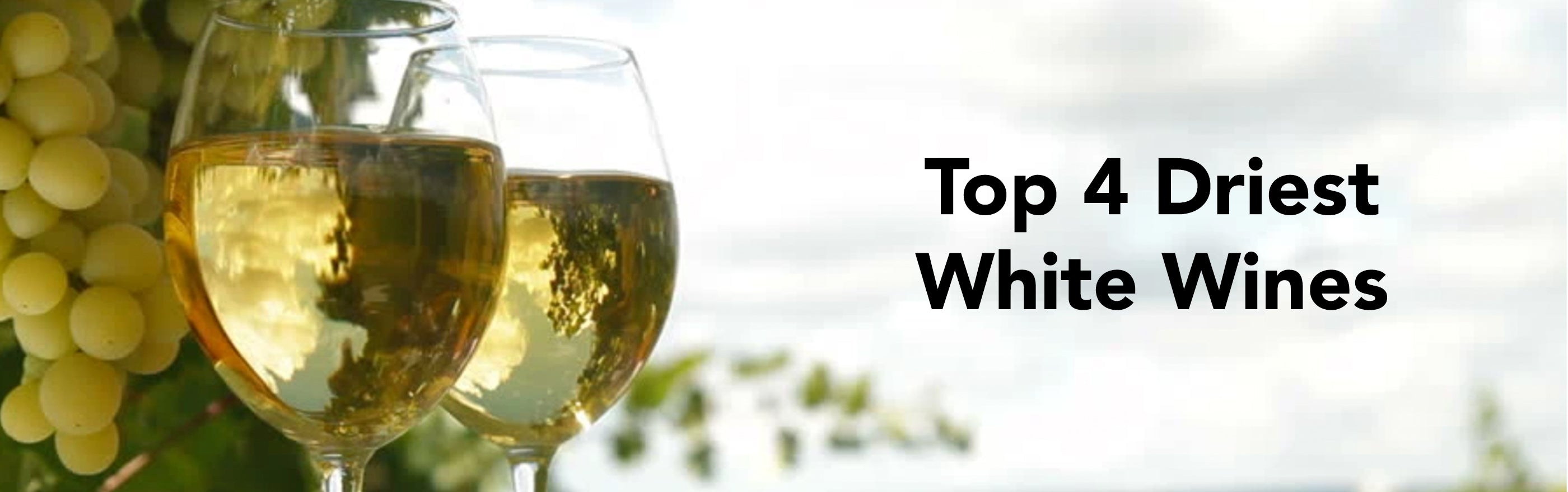 Top 4 Driest White Wines finding.wine