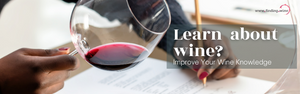 How to learn more about wine?