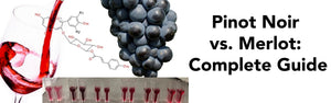 Pinot Noir vs. Merlot: Complete Guide