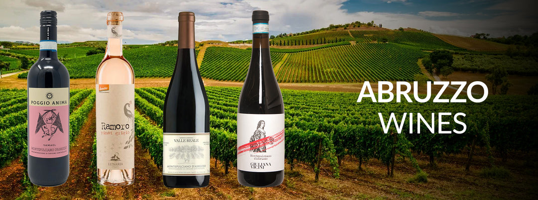 Abruzzo wines