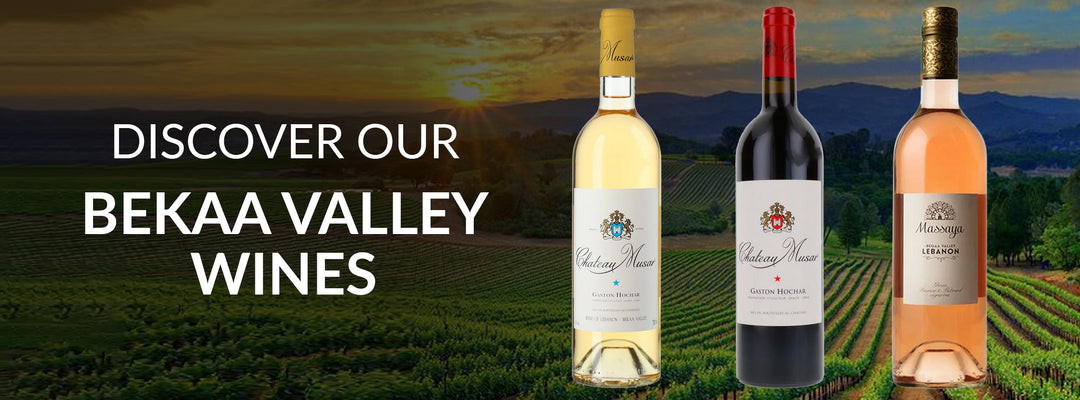 Bekaa Valley wines