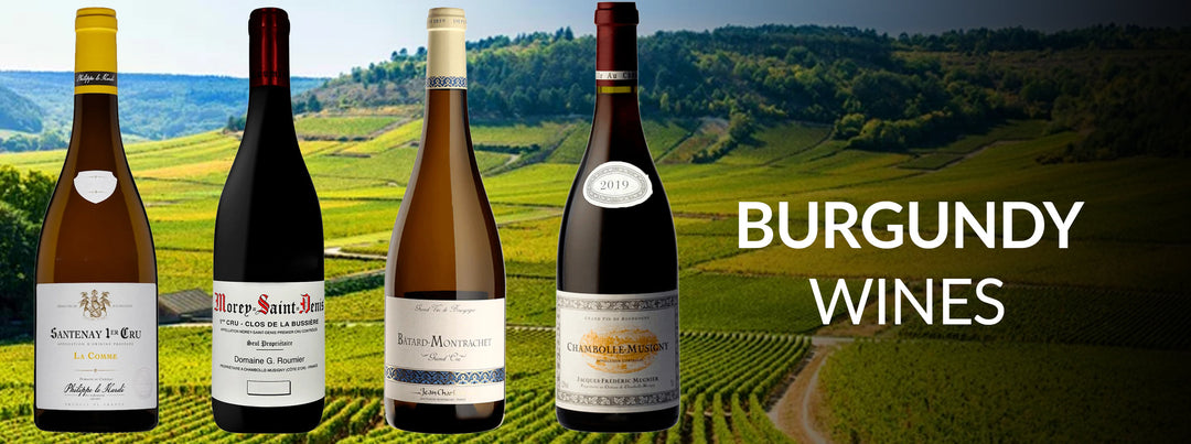 Burgundy wines