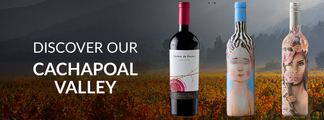 Cachapoal Valley wines