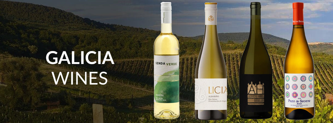 Galicia wines