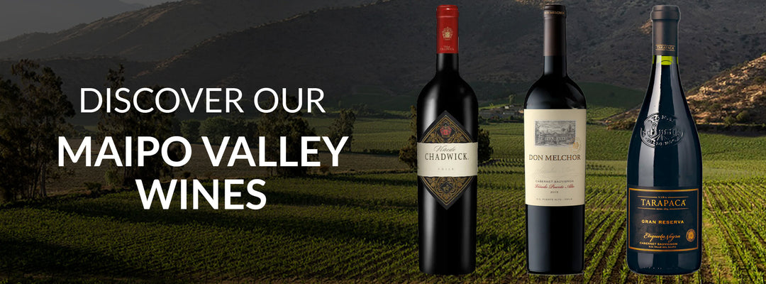 Maipo Valley wines