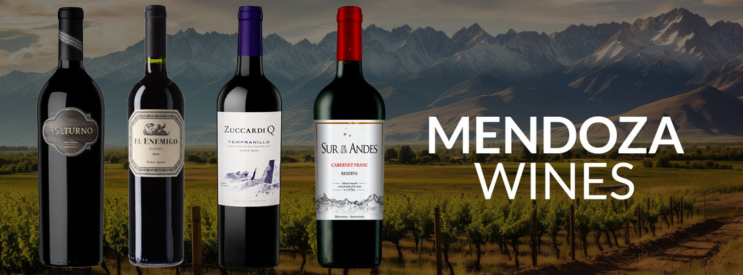 Mendoza wines