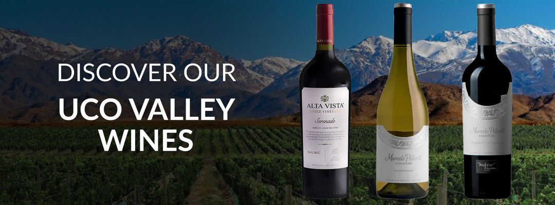 Uco Valley wines