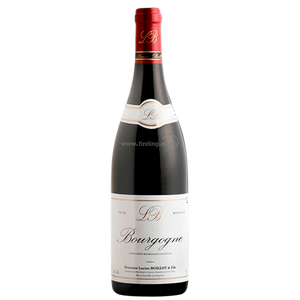 Domaine Lucien Boillot & Fils - 2017 - Bourgogne Rouge - 750 ml.