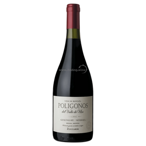 Familia Zuccardi - 2020 - Poligonos Malbec  - 750 ml.