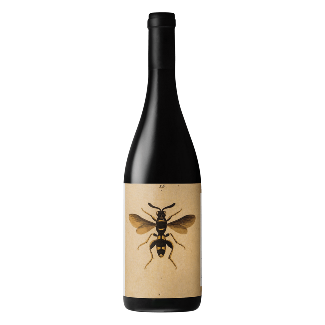 Noelia Ricci - 2023 - Il Sangiovese Romagna - 750 ml.
