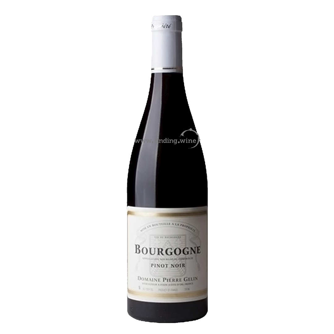 Pierre Gelin - 2023 - Bourgogne Rouge - 750 ml.