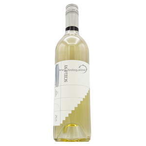 RGNY - 2021 - Scielo - Sauvignon Blanc - 750 ml.