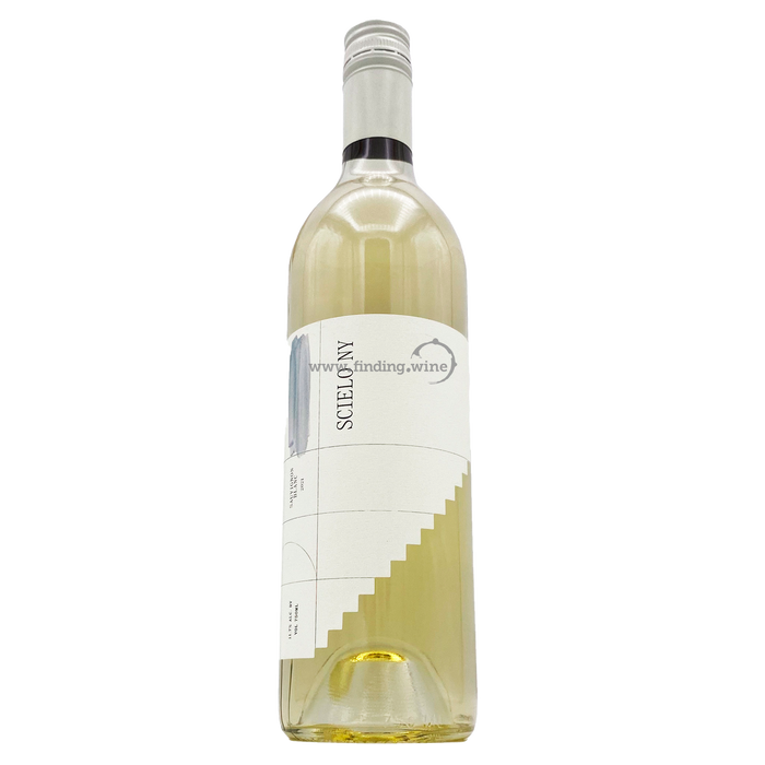 RGNY - 2021 - Scielo - Sauvignon Blanc - 750 ml.