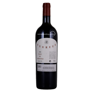 Bodegas Mauro 1996 - Terreus Pago de Cueva Baja 750 ml. |  Red wine  | Be part of the Best Wine Store online
