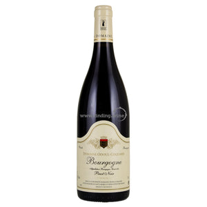 Domaine Odoul-Coquard - 2017 - Bourgogne Cote d'Or Pinot Noir  - 750 ml.