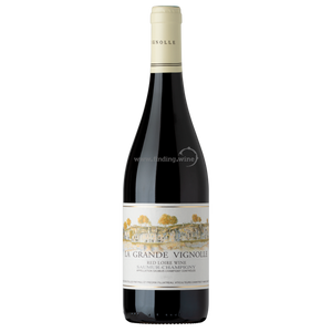 Domaine Filliatreau - 2020 - Saumur-Champigny La Grande Vignolle - 750 ml.