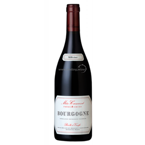 Domaine Meo Camuzet - 2013 - Bourgogne Rouge - 750 ml.